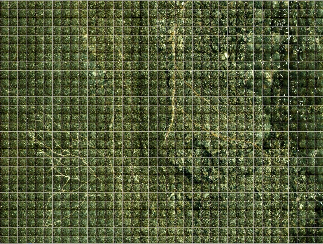 Intelligence at the Edge