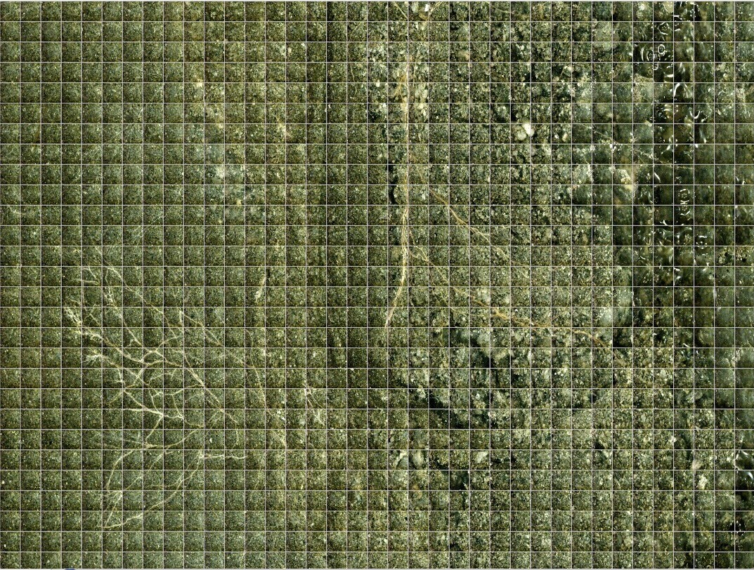 Intelligence at the Edge