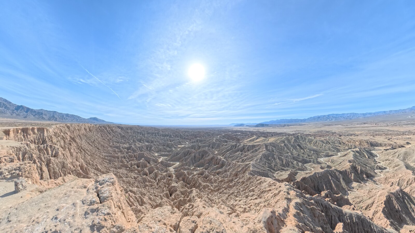 Pebbles on the Track: Paul Ehrlich and the Long Arc of Conservation Biology