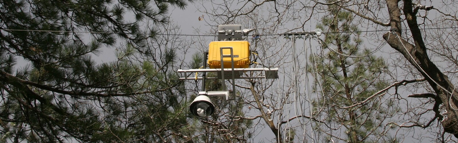"Tree-Bot" or NIMS: Networked Info-Mechanical System was a canopy robotic sensor platform that measured both abiotic, atmospheric and biological phenology at programmable locations across a forest canopy ecosystem