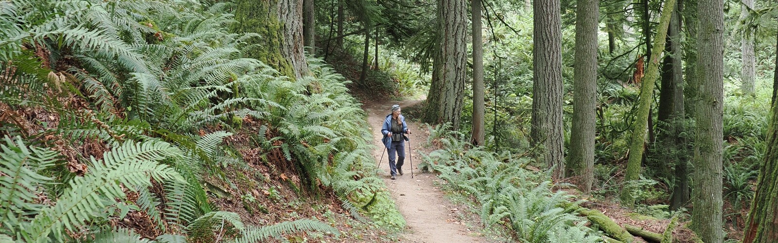 trekking along a favorite trail in the north Cascades, Washington