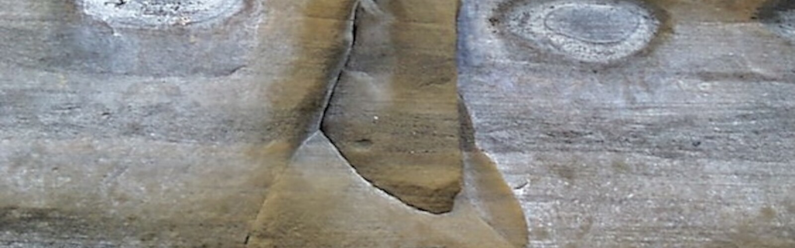 "What do you observe?"