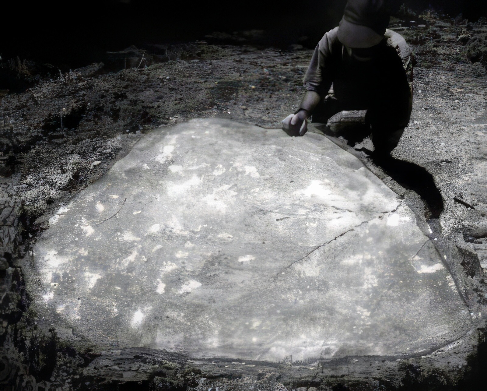 A 250 year old Sugar Pine stump, all thats left of a US Forest Service "Healthy Forest" logging operation