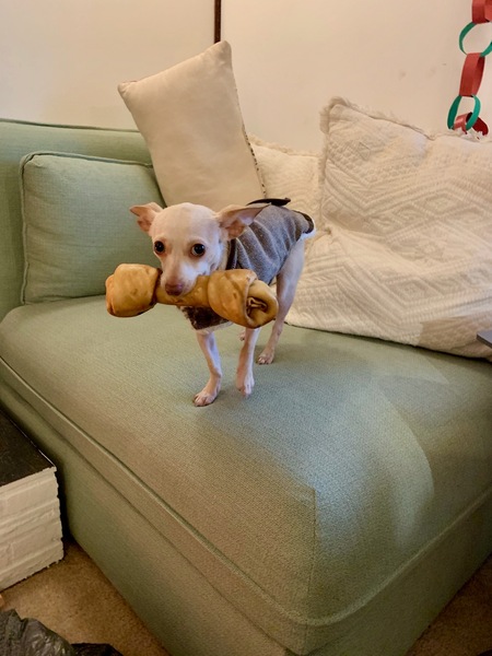 "Chewbacca the Fierce"