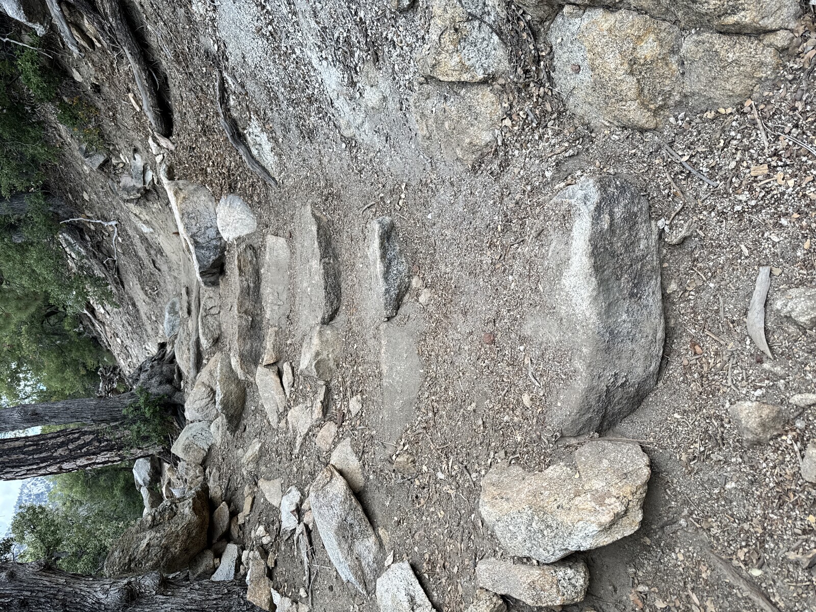 "The trail ahead, San Jacinto Wilderness."