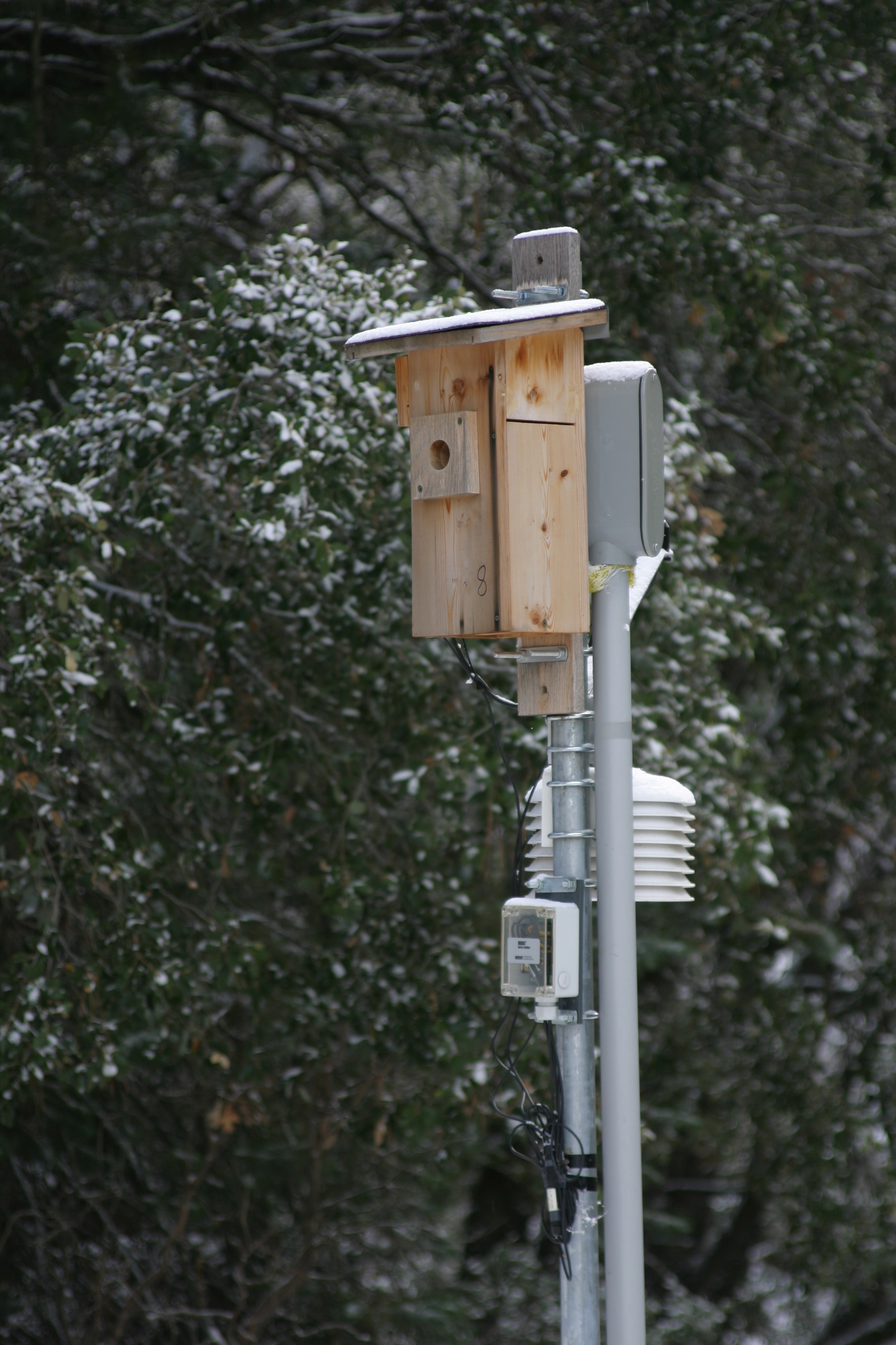 Nestbox sensor platform at the James Reserve documents microclimate and avian nesting behavior using automated image classification