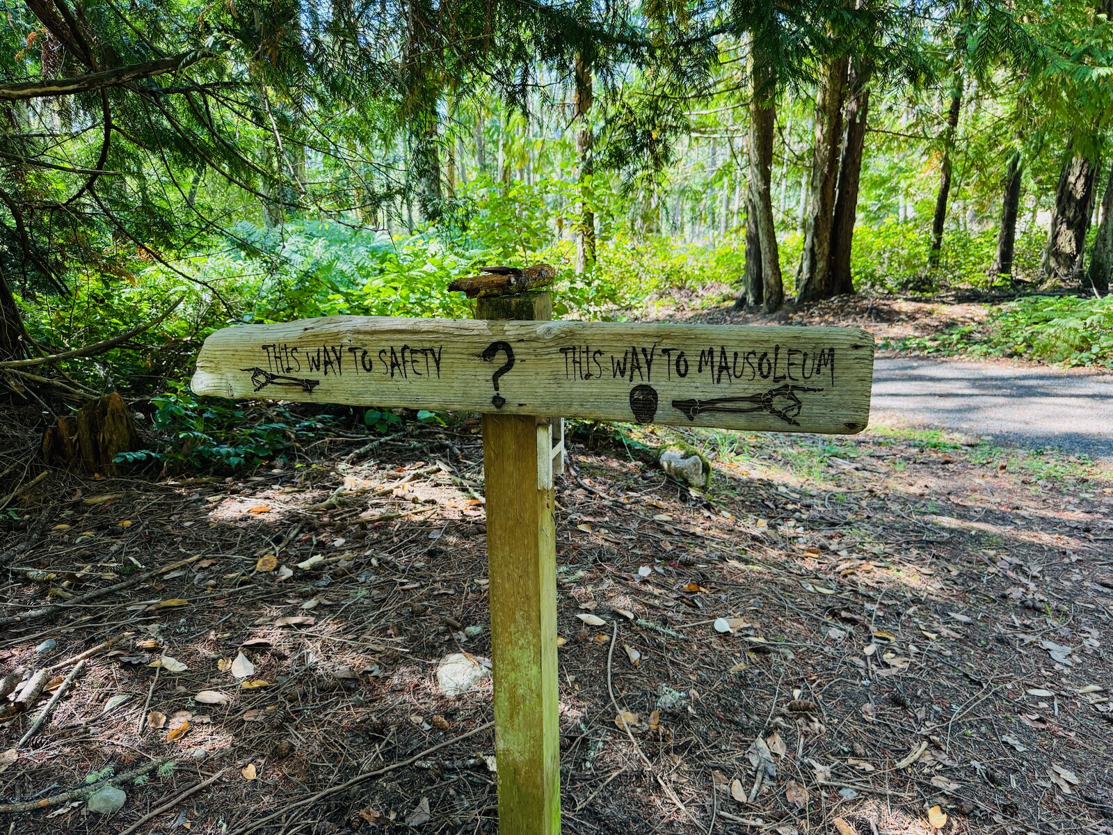 Your AI Is Not Your Friend (But It Can Be a Good Tool)