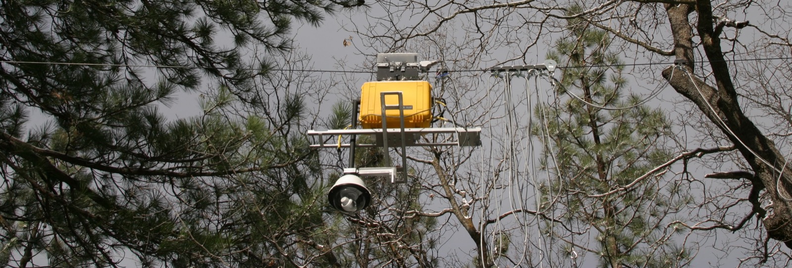 "Tree-Bot" or NIMS: Networked Info-Mechanical System was a canopy robotic sensor platform that measured both abiotic, atmospheric and biological phenology at programmable locations across a forest canopy ecosystem
