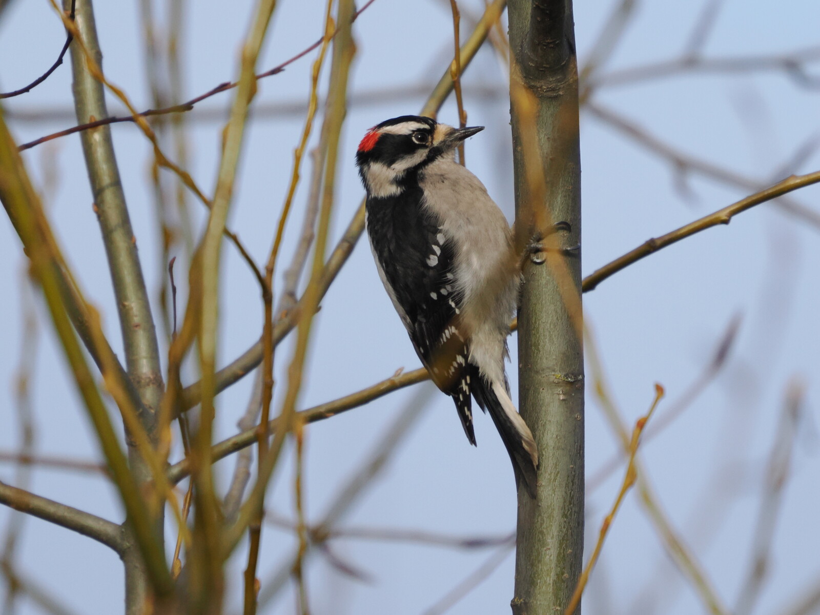 The Door Marked Everything Else