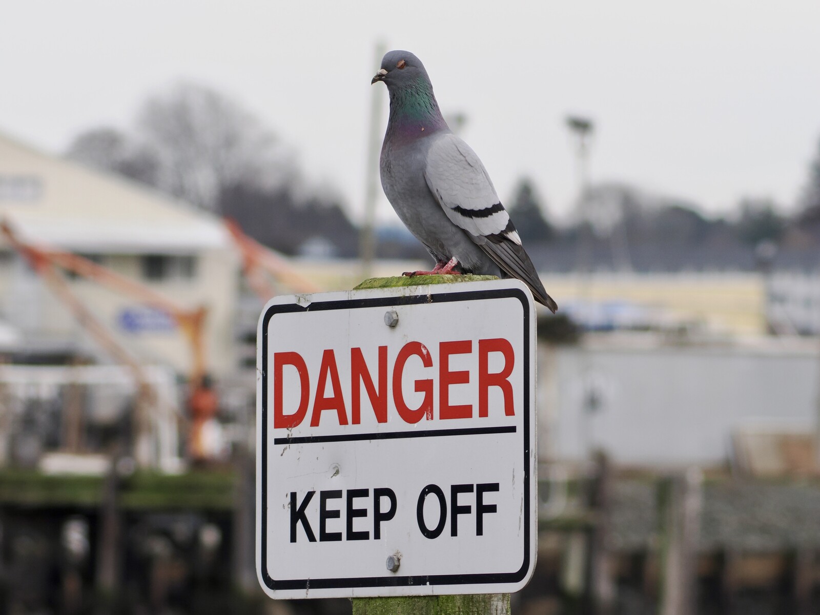 The unread archive keeps no hours and observes no warnings.