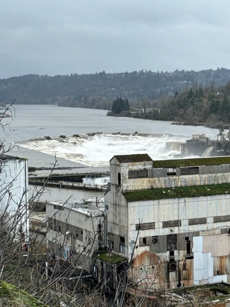 "Tumwata" Willamette Falls